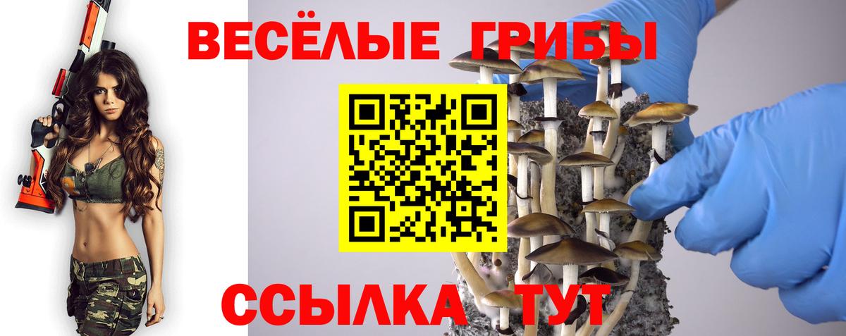 Псилоцибиновые грибы MAGIC MUSHROOMS  Вход с VPN  Мариинск 